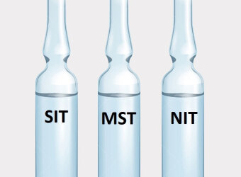 Кодирование методом SIT MST в Дагомысе